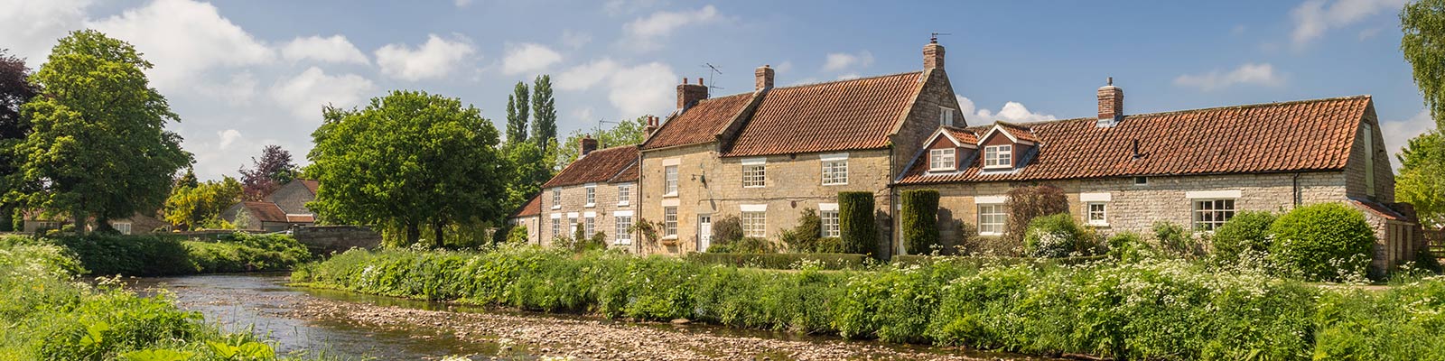 Willowgreen