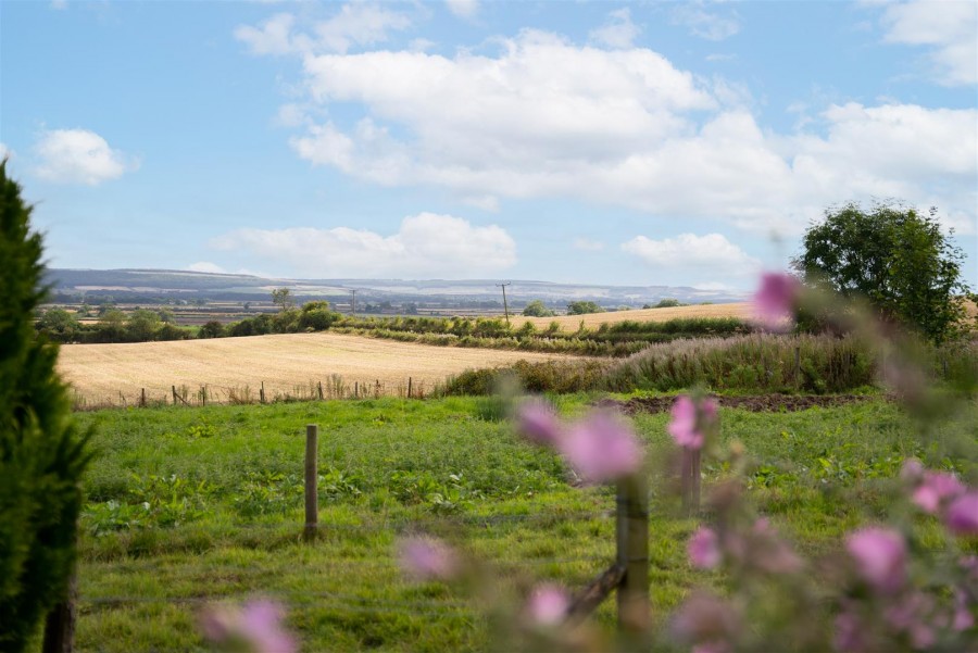 Images for Drive Cottage, Ebberston, Scarborough, YO13 9PA