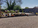 Images for The Shires, 31 Main Street, Beeford, Driffield, YO25 8AY