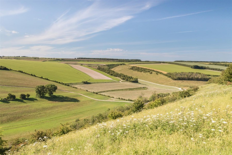 Images for Swan Cottage, Thixendale, Malton, YO17 9TG