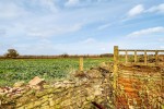 Images for 16 Cherry Avenue, Swinton, Malton
