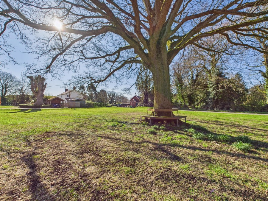 Images for Main Street, Salton, York