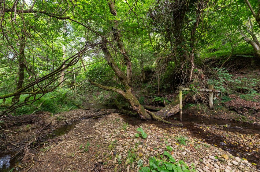 Images for Levisham Mill, Levisham, YO18 7NJ