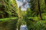 Images for Levisham Mill, Levisham, YO18 7NJ