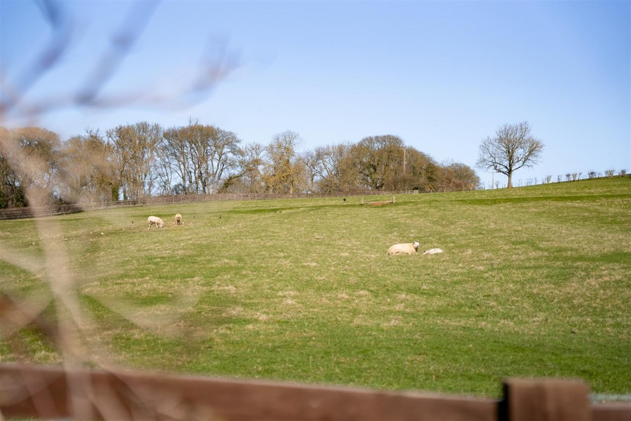 Images for Meadow View, Church Lane, Thornton-Le-Dale, Pickering, North Yorkshire YO18 7QL