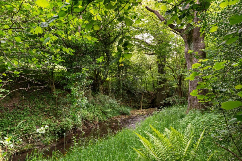 Images for Levisham, Pickering, YO18