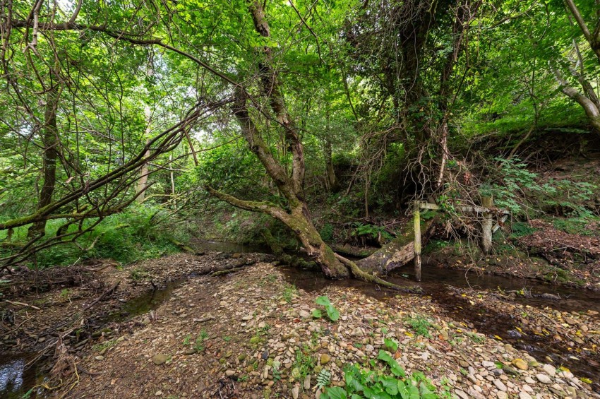 Images for Levisham, Pickering, YO18