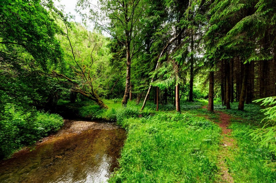 Images for Levisham, Pickering, YO18