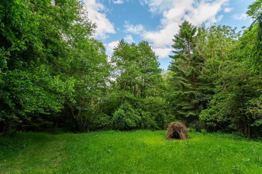 Images for Levisham, Pickering, YO18