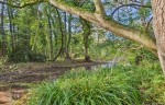 Images for Langton Road, Norton, YO17