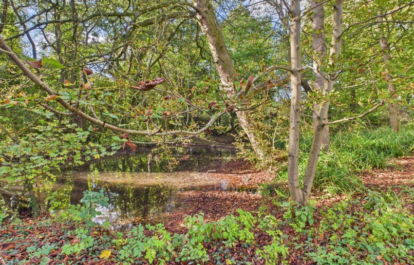 Images for Langton Road, Norton, YO17