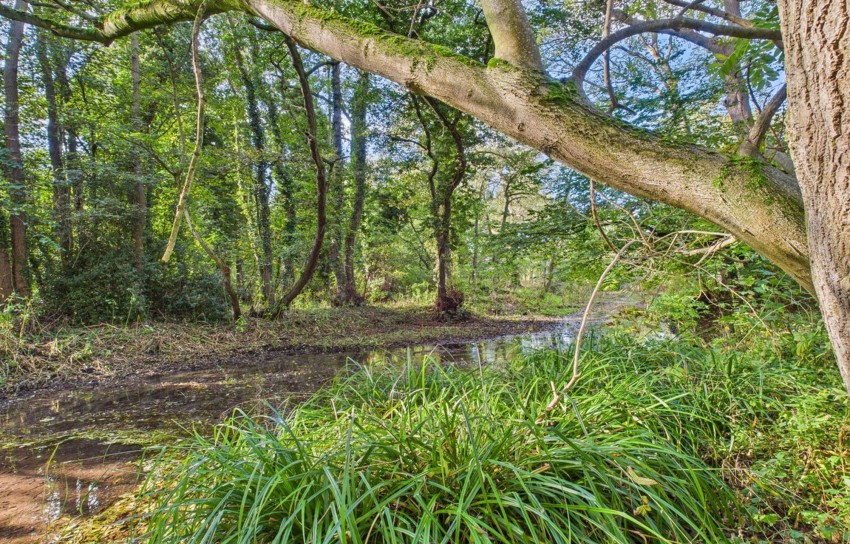 Images for Langton Road, Norton, YO17