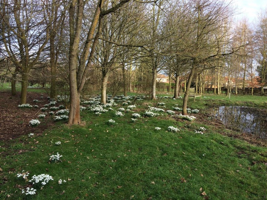 Images for Main Street, Bainton, YO25