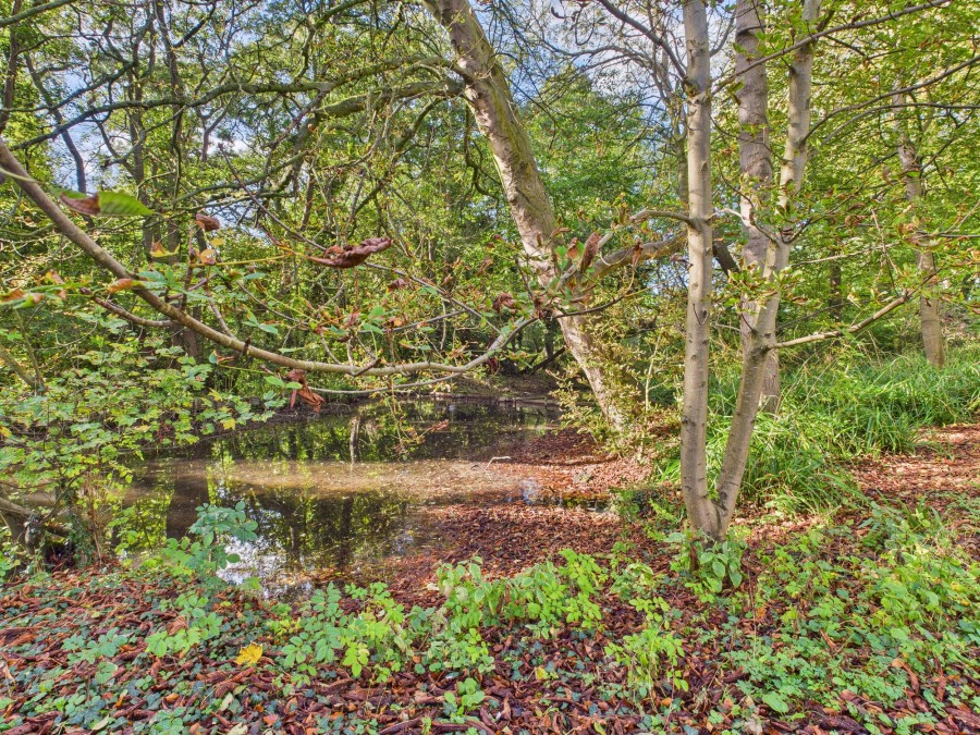 Images for Langton Road, Norton, YO17