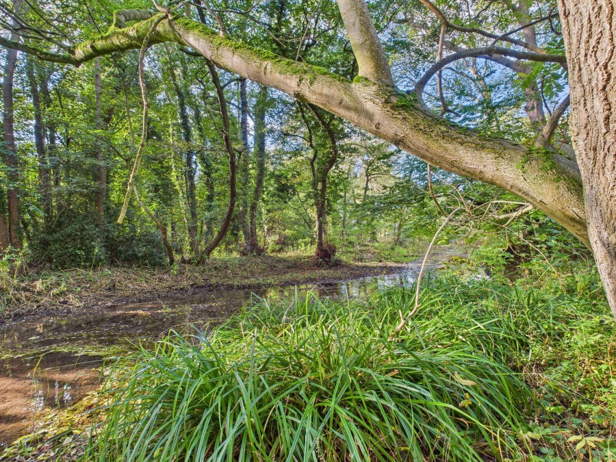 Images for Langton Road, Norton, YO17